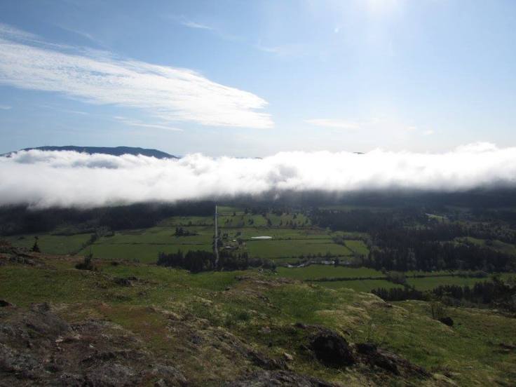 13047719_1057769010929218_6409442928651278820_o