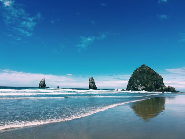 13483013_1095411443831641_2634795523629875131_o