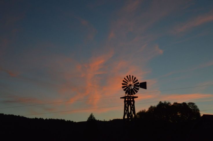 14500355_1172088179497300_4547342258546051576_o