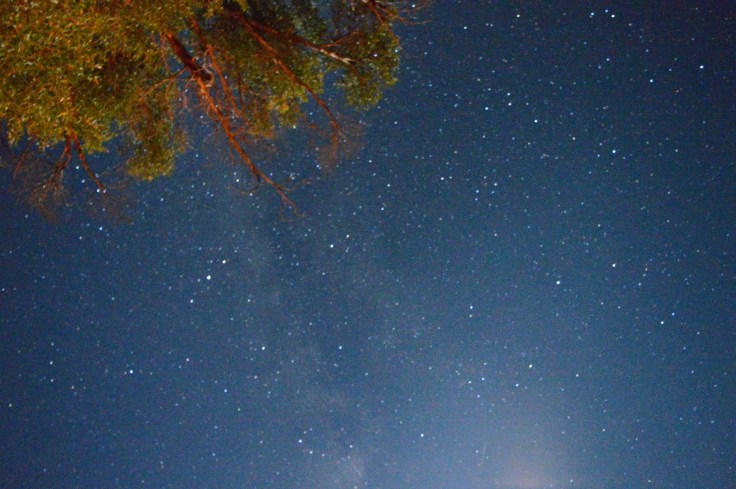 14379629_1172090736163711_2963298955976027376_o