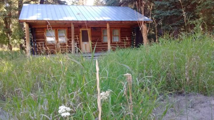 40751288_1965232736849503_1107378337119993856_o