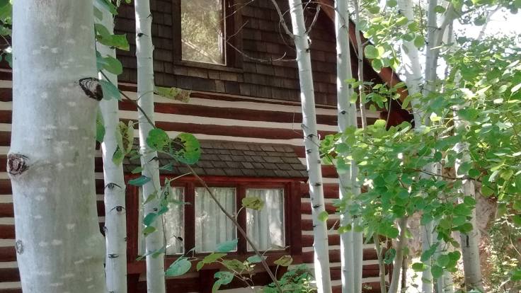 40960932_1966953823344061_8987759678708514816_o