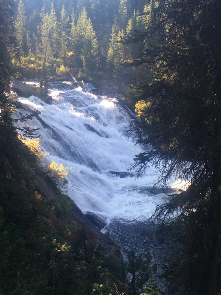 41096965_1966975380008572_1640172264299167744_o