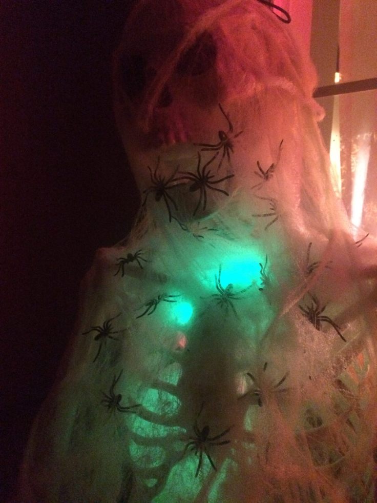 14902730_1205304356175682_3930252355582234148_o