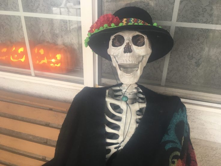 44974719_2038616719511104_3382400454859161600_o