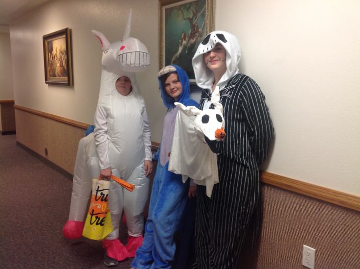 45017770_2040554885983954_7238552960861470720_o