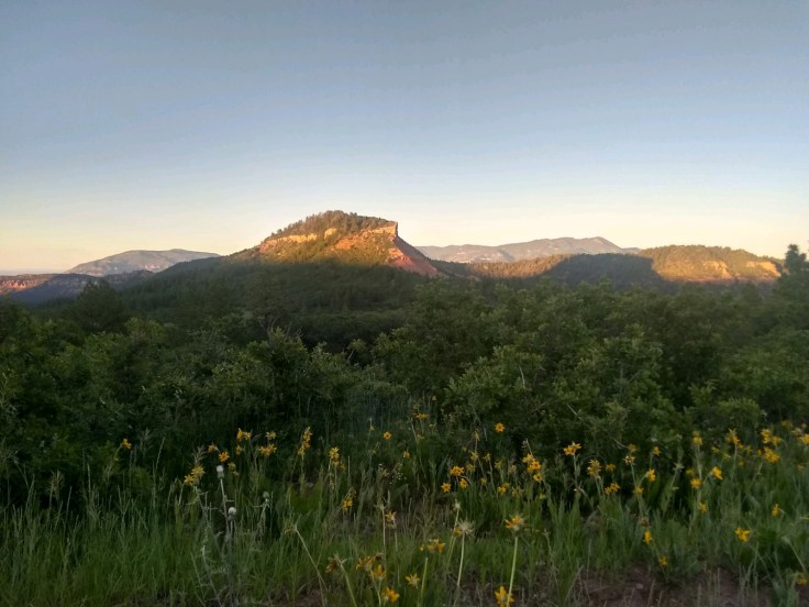 IMG_20190705_203005565_HDR