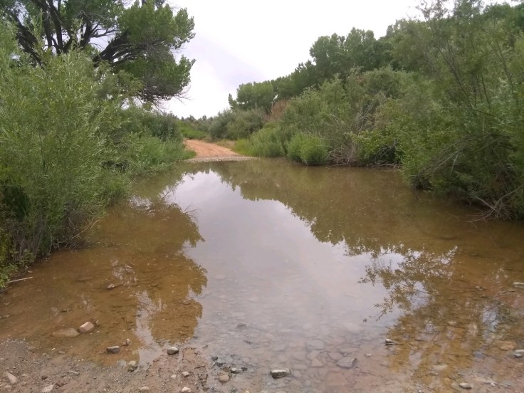 IMG_20190706_141208780