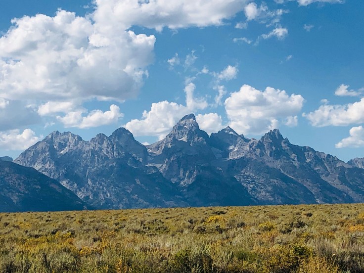 70464068_2531951460177625_7610449673601417216_o