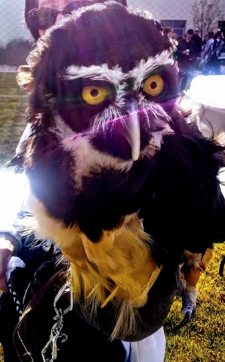 IMG_20191026_155000419